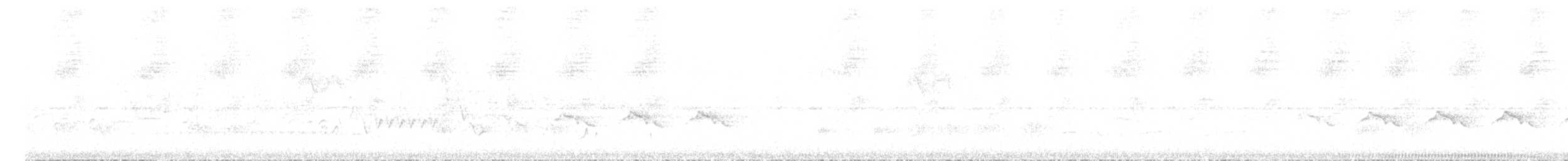 Gray-eyed Greenlet - ML514528421