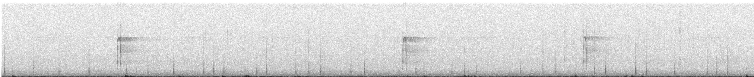 Pic chevelu - ML514573371