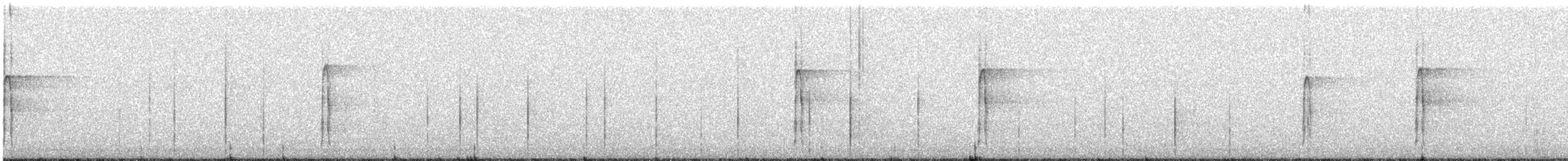 Pic chevelu - ML514573381