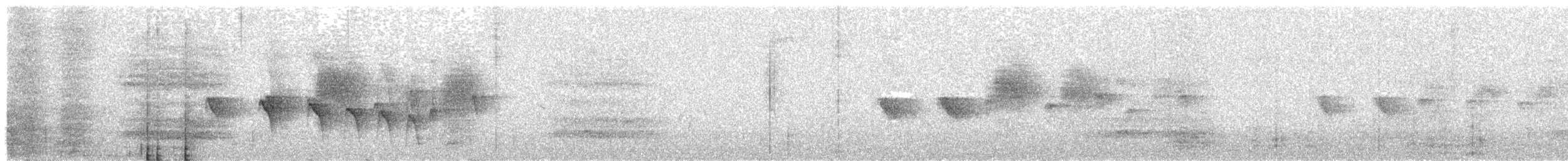 Strichelkopf-Ameisenfänger - ML514577471