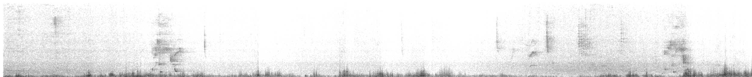 Breithauben-Stirnvogel [angustifrons-Gruppe] - ML514580661