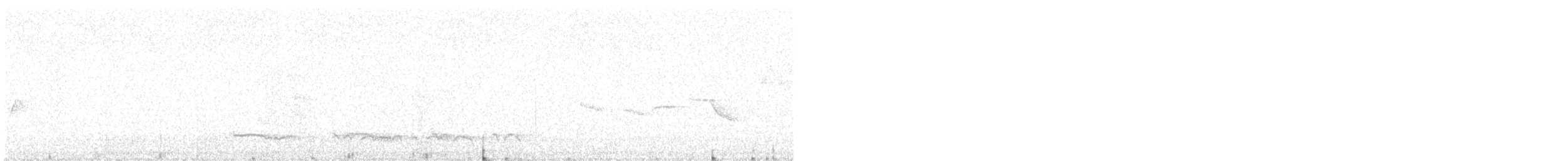 Лінивка-смугохвіст плямистобока - ML514603851
