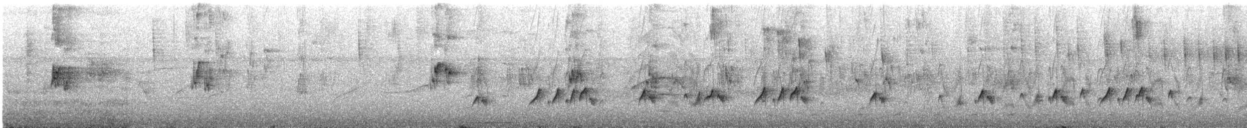 Rußkappen-Kleintyrann - ML514617131