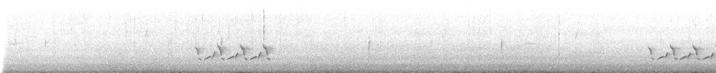 Поплітник каролінський - ML514617721