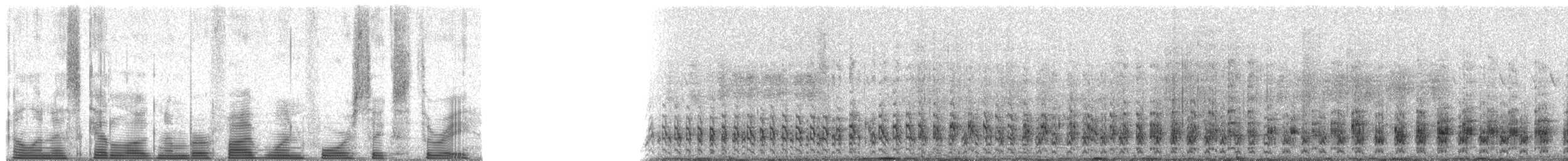 Feigenbartvogel - ML51463