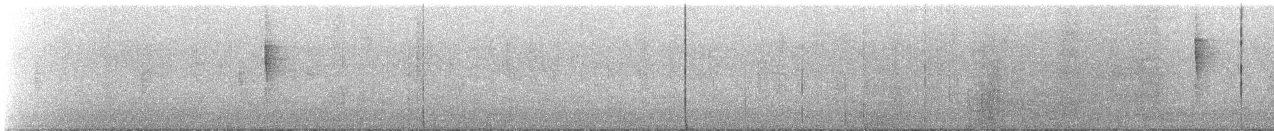Troglodyte de Baird - ML514634751