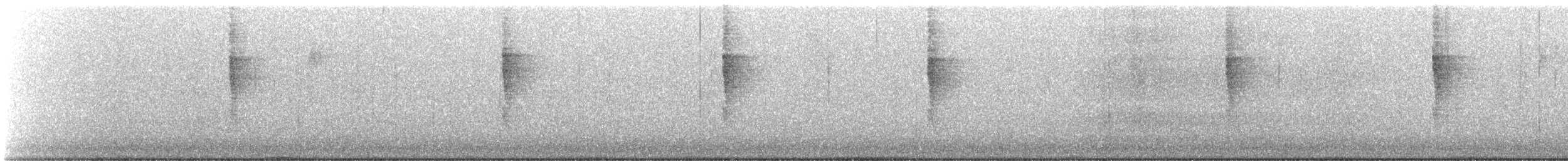 Troglodyte de Baird - ML514634771