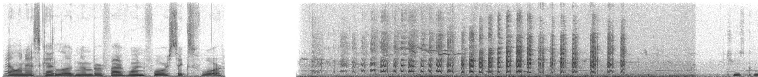 Feigenbartvogel - ML51464