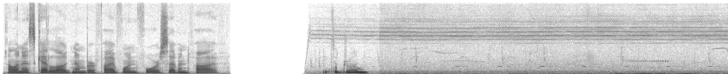 Bennett's Woodpecker - ML51475