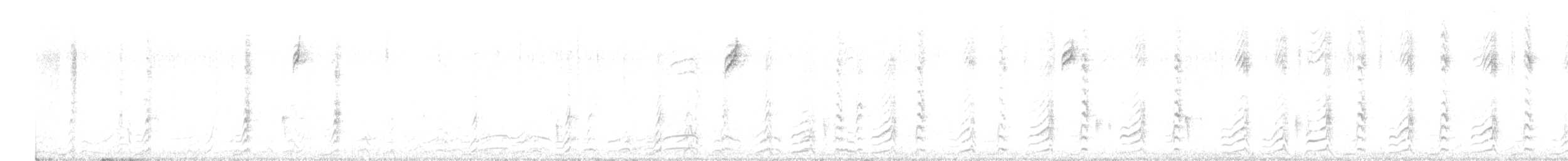 Gambel's Quail - ML514769601