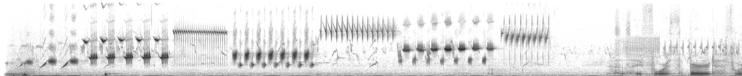 Lark Bunting - ML514825