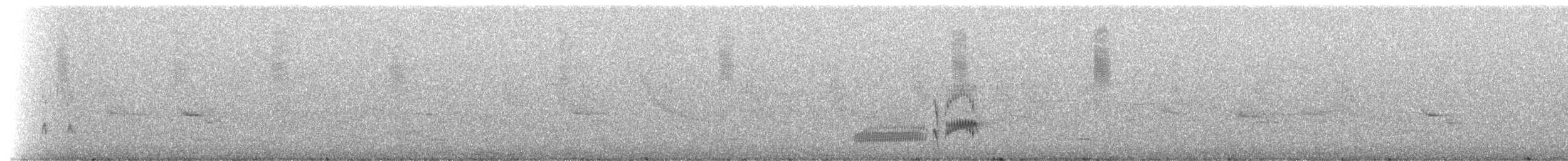 Élénie obscure - ML514849