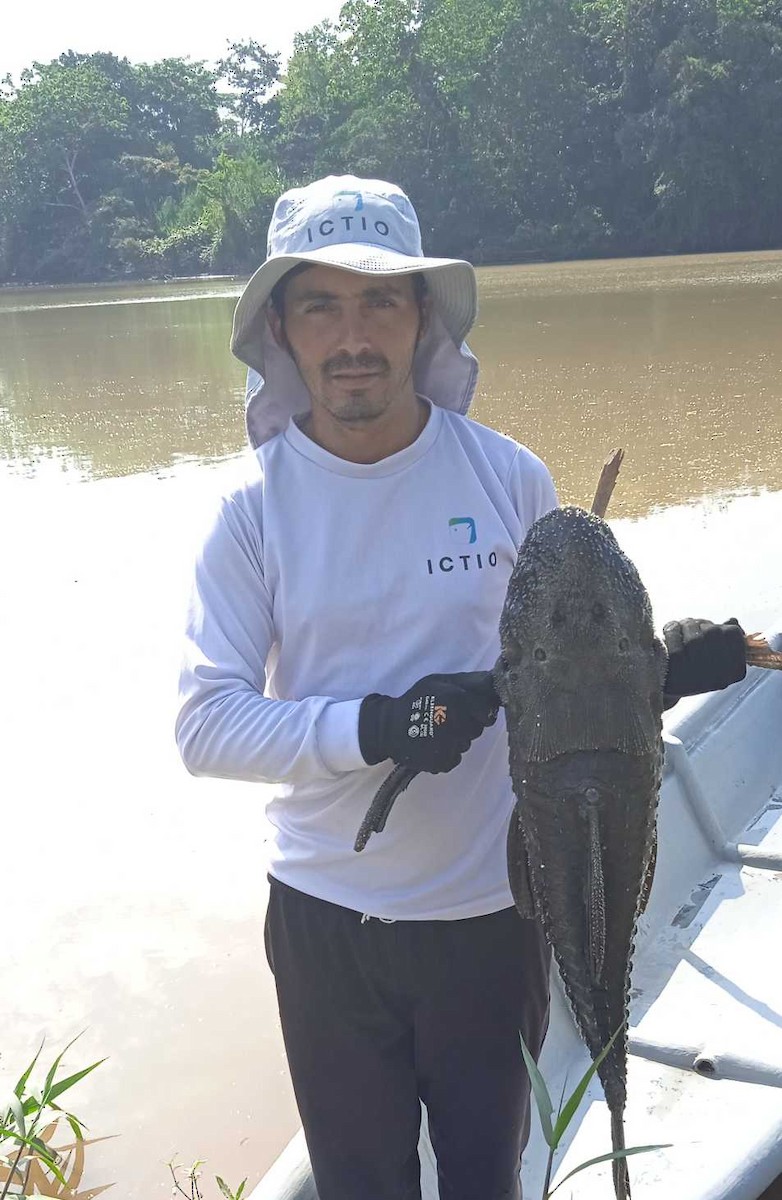 Fish sp. - Jonathan Espinoza