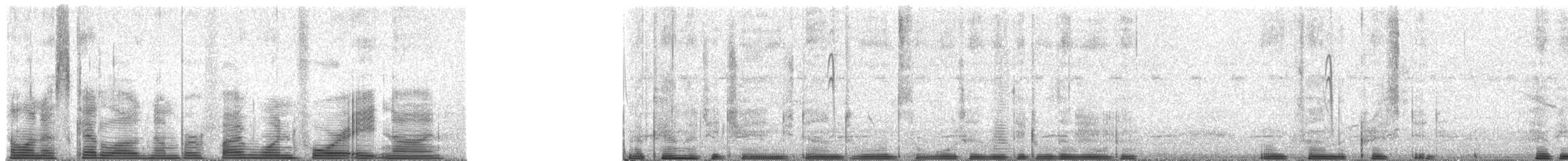 Bennett's Woodpecker - ML51489