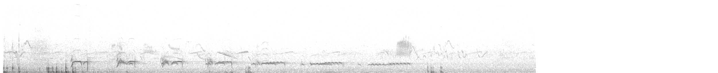 White-eared Puffbird - ML514912421