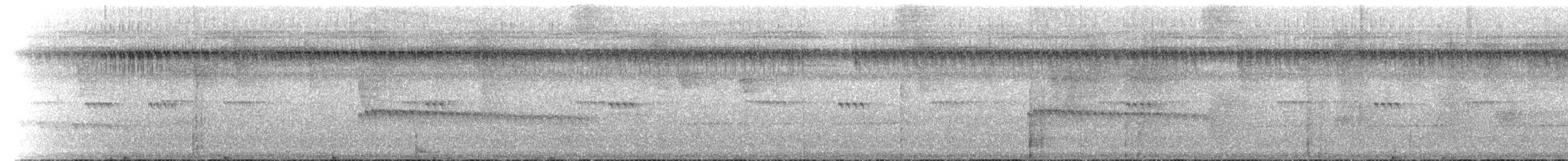 Tyrannenbreitrachen - ML514972