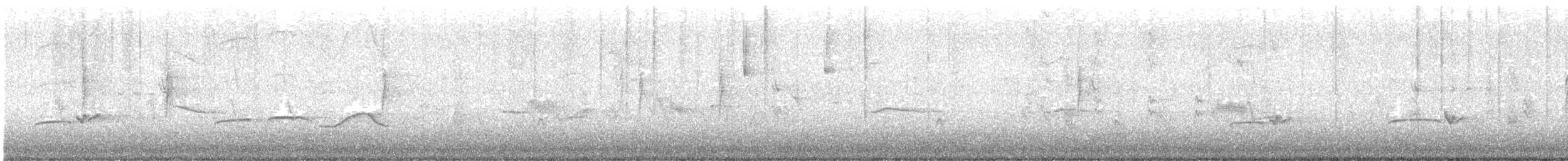 Greater Pewee - ML514983341