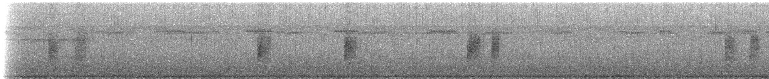svartkronesmett (castaneus gr.) - ML515027