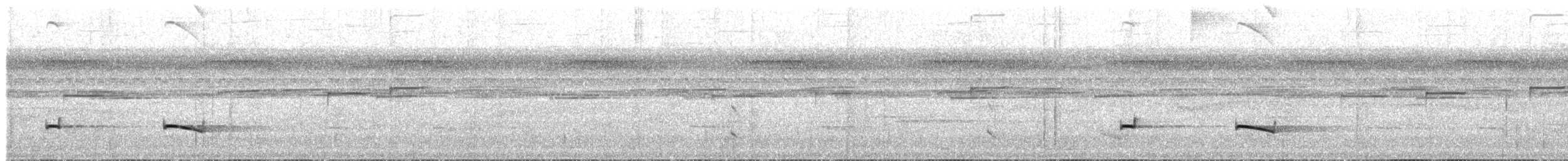 kastanjeryggmaurfugl (maculifer/cassini) - ML515031