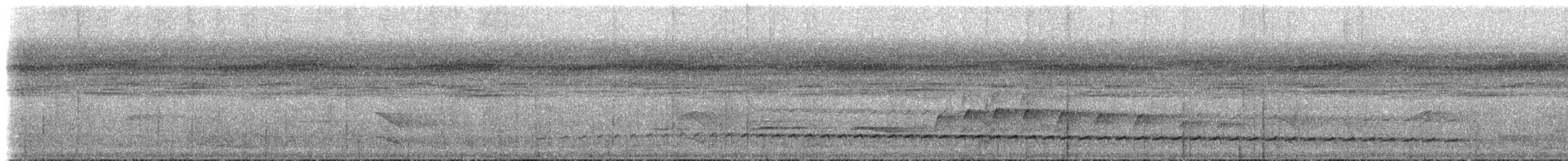 Piping Long-tailed Woodcreeper - ML515034