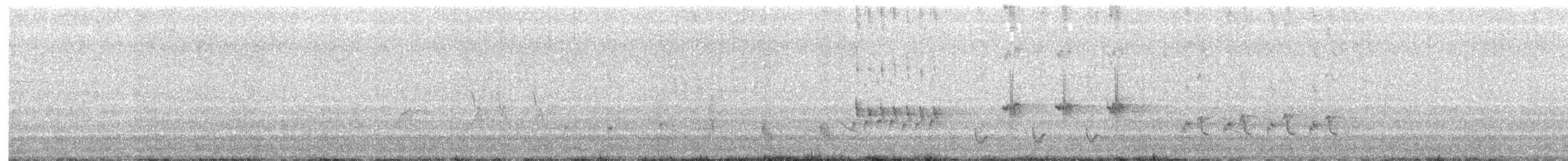 Australian Reed Warbler - ML515035371