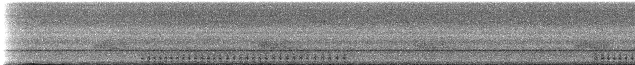 Slaty-tailed Trogon (Massena) - ML515135
