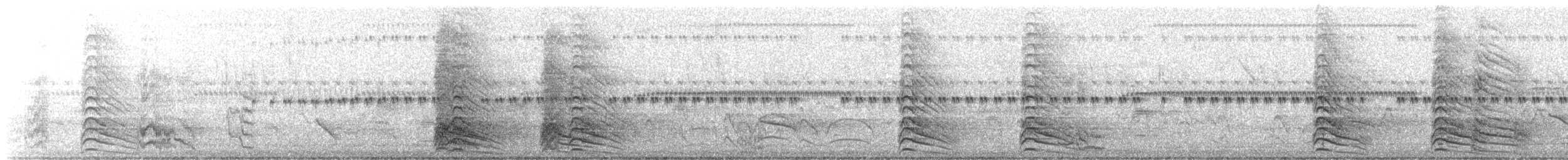 solpapegøye - ML515150561