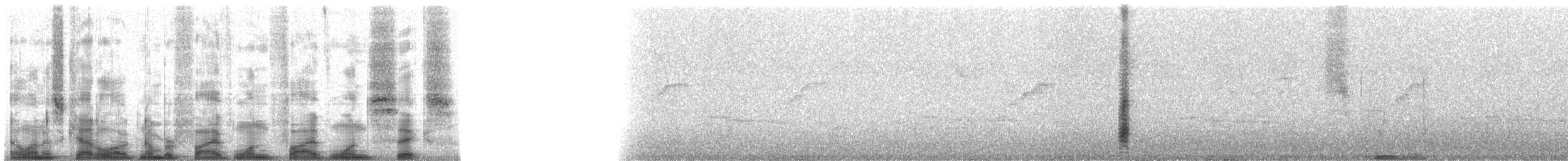Barbican de Levaillant (macclounii) - ML51516