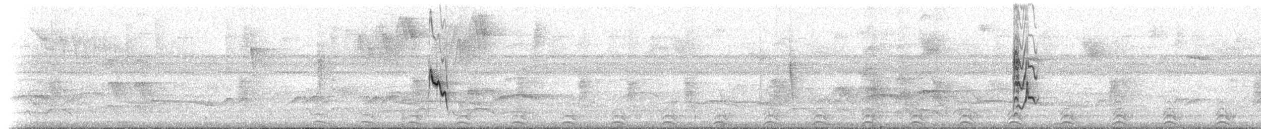 Чёрный просяночник (corvina) - ML515202