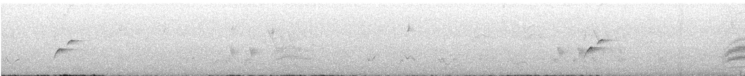 Batı Amerika Sinekkapanı (occidentalis/hellmayri) - ML515240951