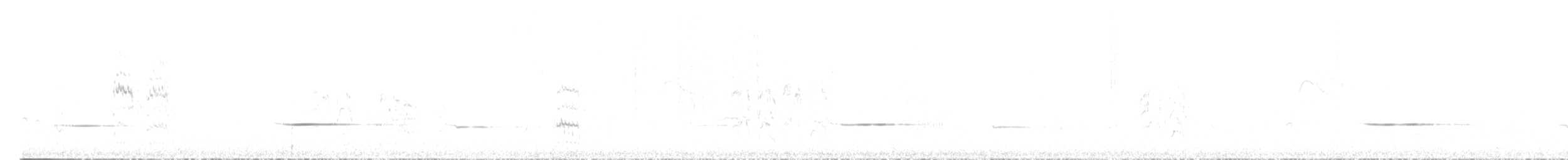 Tinamu sabelzuria - ML515253421