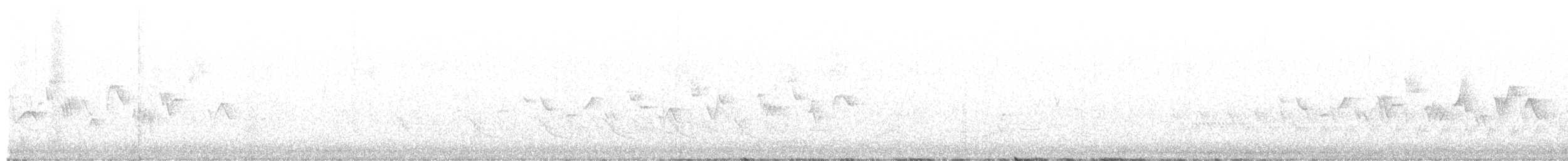 Common Yellowthroat - ML515261521