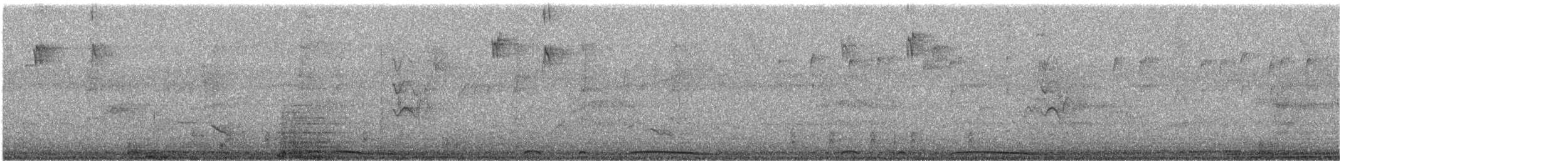 holub neotropický - ML51528021