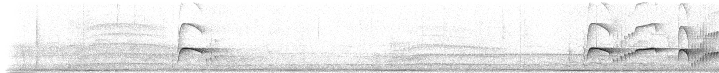 Atlantik Karınca Tiranı - ML515282