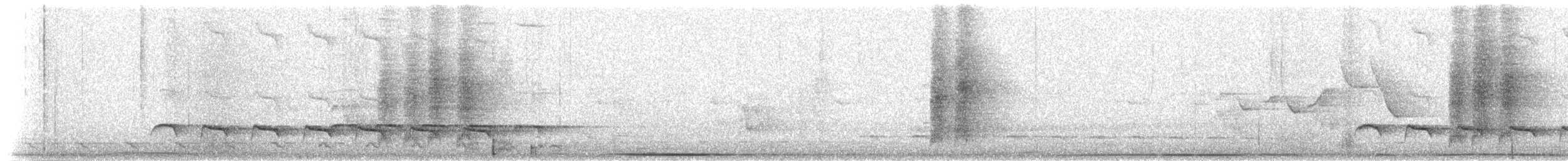 Weißbinden-Ameisenvogel - ML515289