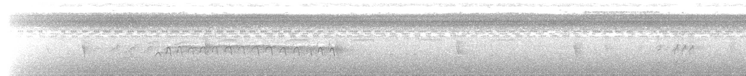Kırlangıç Kuyruklu Çaylak - ML515297481