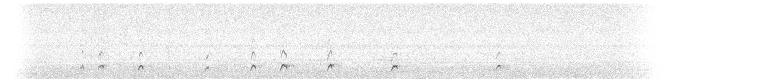 Pauraquenachtschwalbe - ML51530881