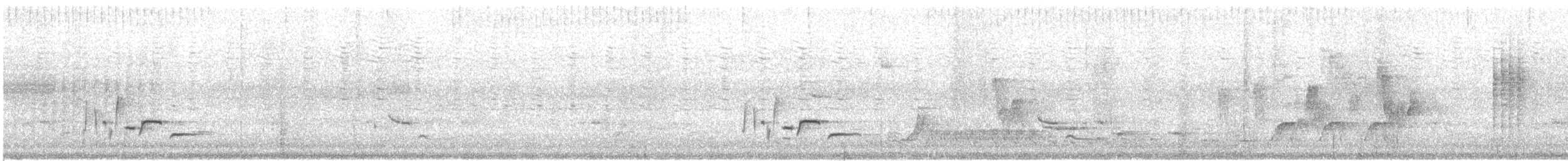 White-bellied Wren - ML515336701