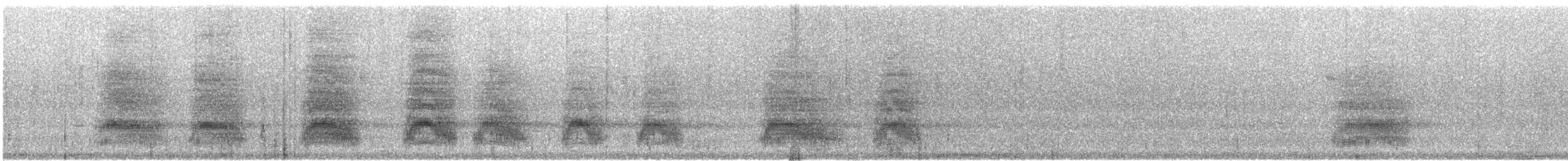 White-throated Magpie-Jay - ML515336791