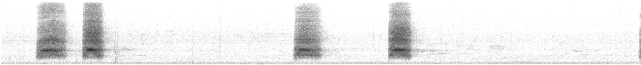 White-throated Magpie-Jay - ML515336801