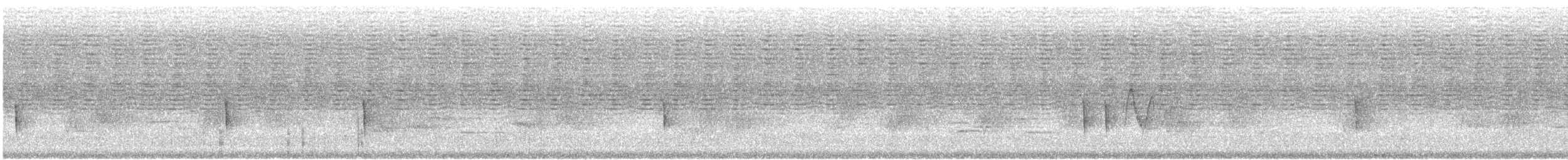 White-bellied Wren - ML515336861