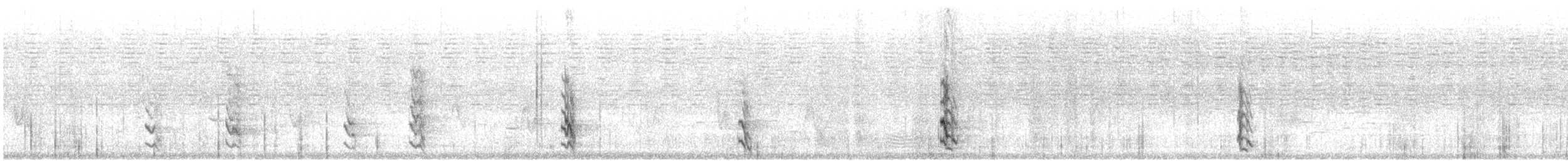 White-throated Magpie-Jay - ML515336871