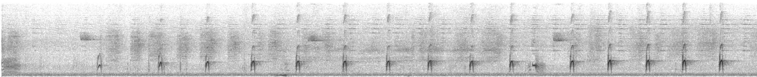 Mexican Squirrel-Cuckoo - ML515337531