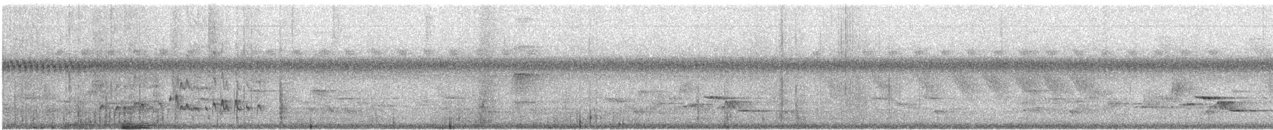 Flammulated Flycatcher - ML515338191