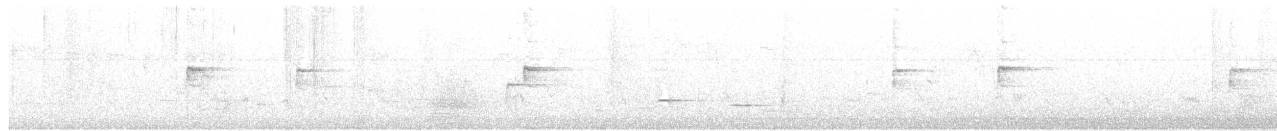 Шпак-куцохвіст рудочеревий - ML51534231
