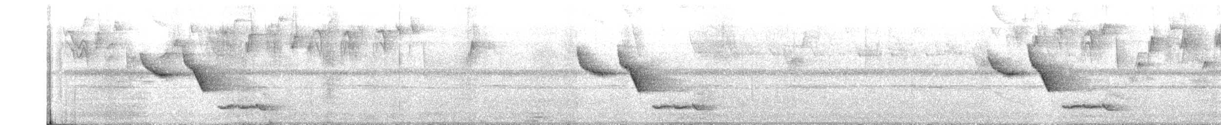 Troglodyte à poitrine blanche - ML515390911