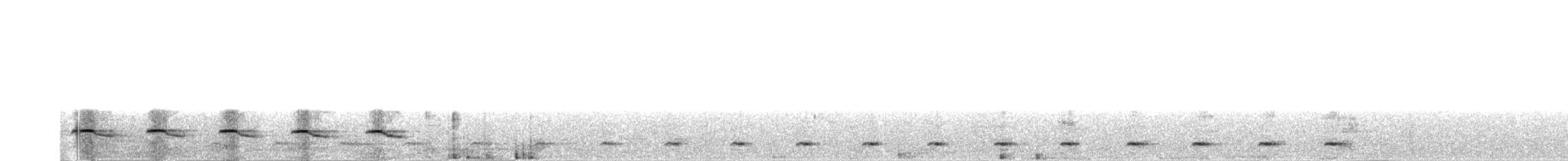 White-shouldered Antbird - ML515398981