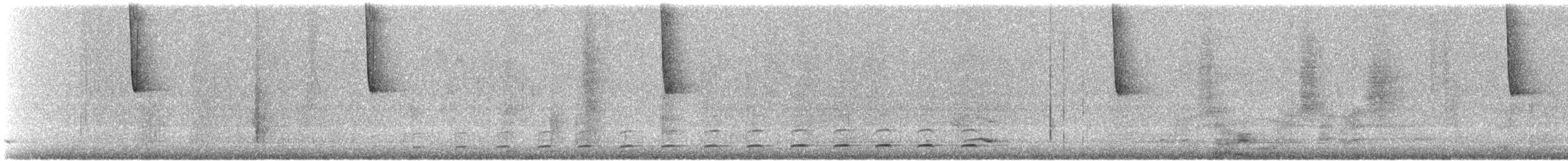 ヒカリワタアシハチドリ - ML515407501