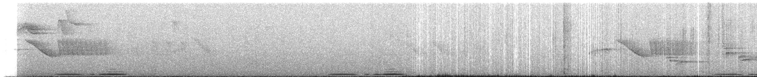 holub andský - ML515444
