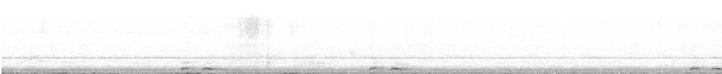Сова-голконіг острівна - ML515478721